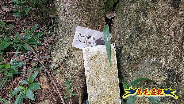 大溪龍山寺二鬮山稜線大小石牛山出永福宮 (44).jpg