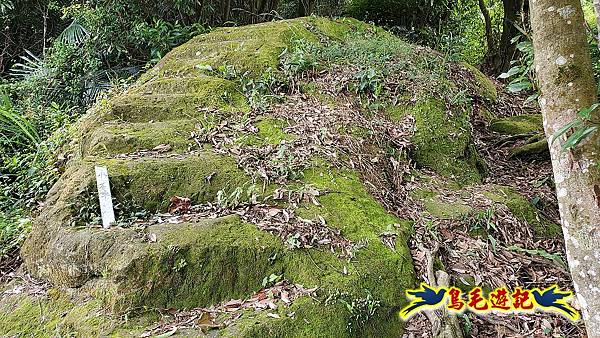 大溪龍山寺二鬮山稜線大小石牛山出永福宮 (46).jpg