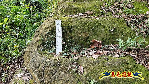 大溪龍山寺二鬮山稜線大小石牛山出永福宮 (47).jpg