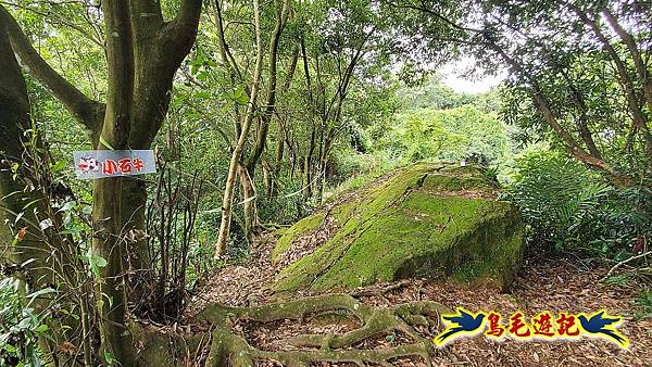 大溪龍山寺二鬮山稜線大小石牛山出永福宮 (48).jpg