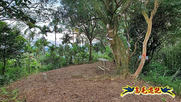 大溪龍山寺二鬮山稜線大小石牛山出永福宮 (55).jpg