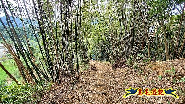 大溪龍山寺二鬮山稜線大小石牛山出永福宮 (63).jpg