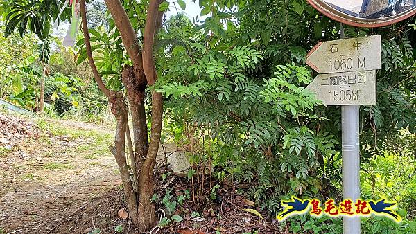 大溪龍山寺二鬮山稜線大小石牛山出永福宮 (66).jpg