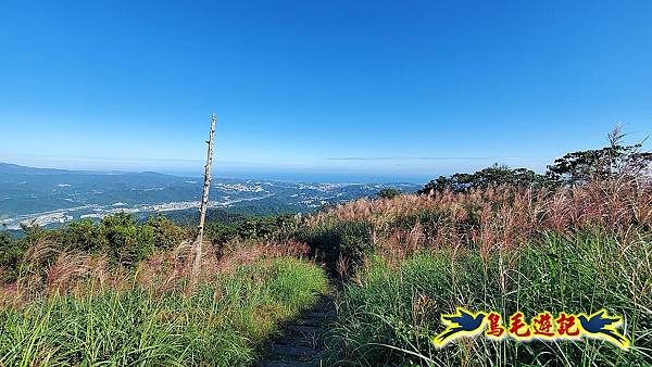 姜子寮山賞秋芒 (8).jpg