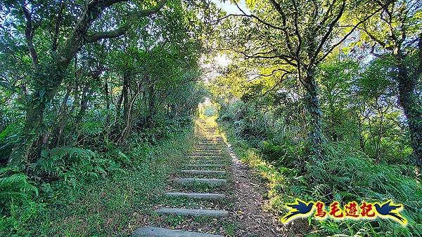 姜子寮山賞秋芒 (6).jpg