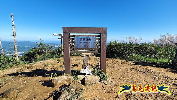 姜子寮山賞秋芒 (12).jpg