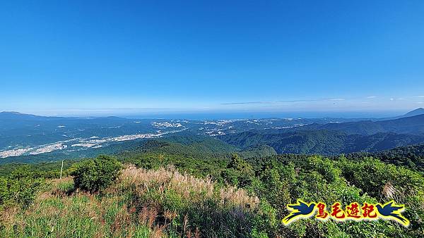 姜子寮山賞秋芒 (16).jpg