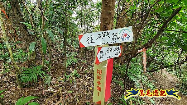 石笋古道-南草山-草山南峰下黃金神社步道 (15).jpg