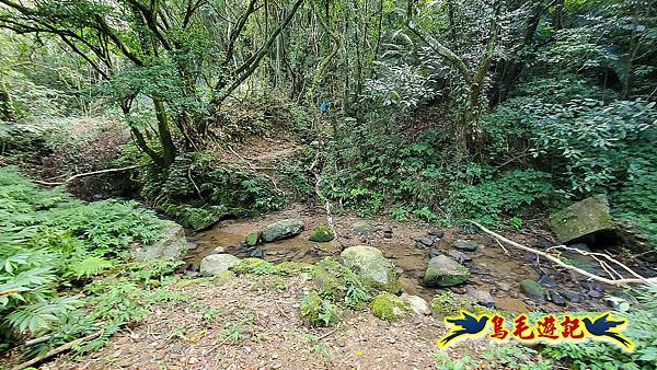 石笋古道-南草山-草山南峰下黃金神社步道 (22).jpg