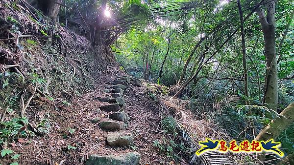 石笋古道-南草山-草山南峰下黃金神社步道 (23).jpg