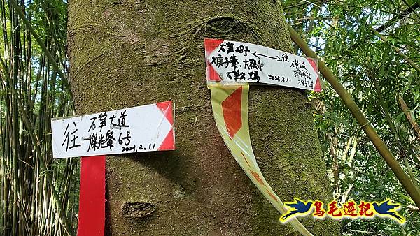 石笋古道-南草山-草山南峰下黃金神社步道 (27).jpg