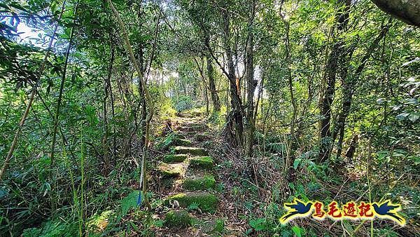 石笋古道-南草山-草山南峰下黃金神社步道 (33).jpg