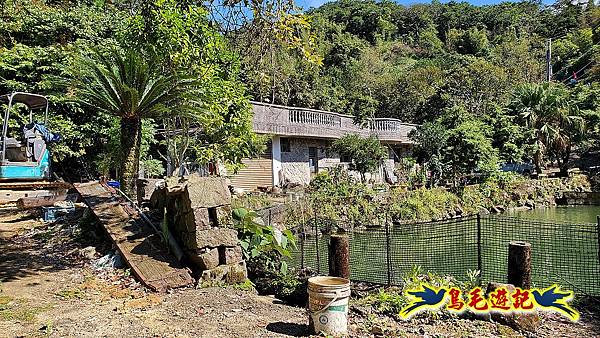 石笋古道-南草山-草山南峰下黃金神社步道 (38).jpg