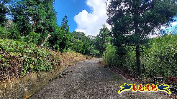 石笋古道-南草山-草山南峰下黃金神社步道 (39).jpg