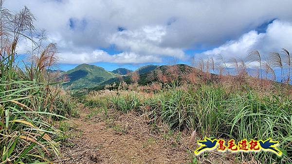 石笋古道-南草山-草山南峰下黃金神社步道 (54).jpg