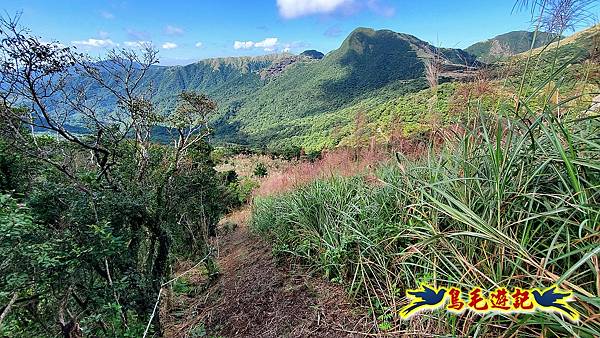 石笋古道-南草山-草山南峰下黃金神社步道 (67).jpg