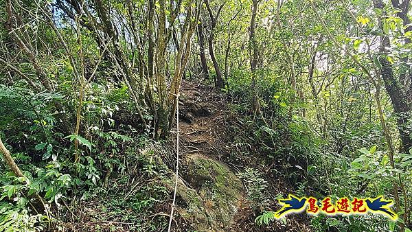 石笋古道-南草山-草山南峰下黃金神社步道 (70).jpg