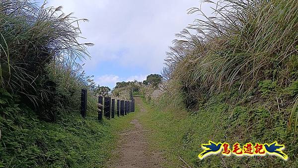 擎天崗-日人路·金包里大路-南勢湖古道(未竟)-金山老街 (4).jpg