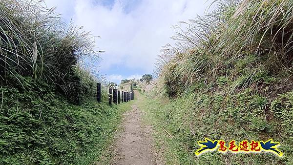 擎天崗-日人路·金包里大路-南勢湖古道(未竟)-金山老街 (3).jpg