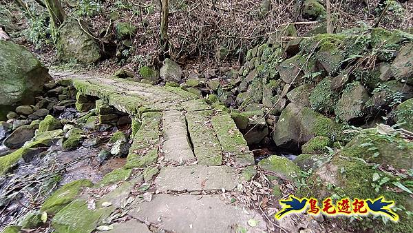 擎天崗-日人路·金包里大路-南勢湖古道(未竟)-金山老街 (13).jpg