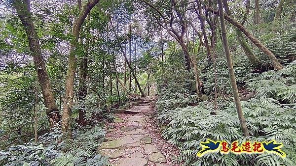 擎天崗-日人路·金包里大路-南勢湖古道(未竟)-金山老街 (19).jpg