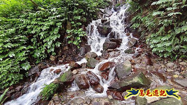 擎天崗-日人路·金包里大路-南勢湖古道(未竟)-金山老街 (21).jpg