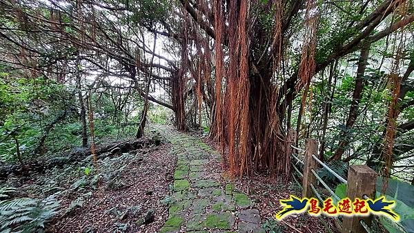 擎天崗-日人路·金包里大路-南勢湖古道(未竟)-金山老街 (36).jpg