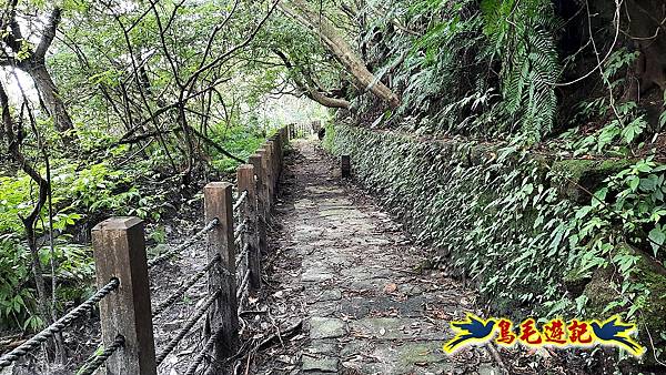 擎天崗-日人路·金包里大路-南勢湖古道(未竟)-金山老街 (35).jpg