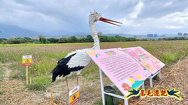 2023花現幸福關渡花海 (5).jpg