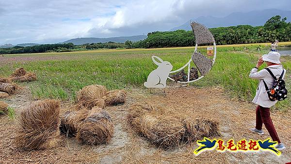 2023花現幸福關渡花海 (2).jpg