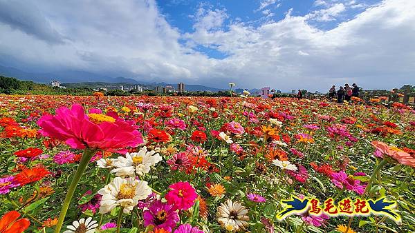 2023花現幸福關渡花海 (16).jpg