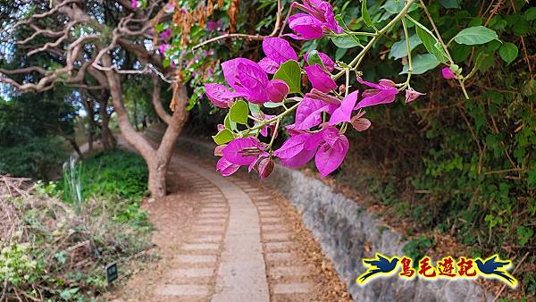 鳳崎落日步道(天德堂-蓮花寺-新豐車站) (16).jpg