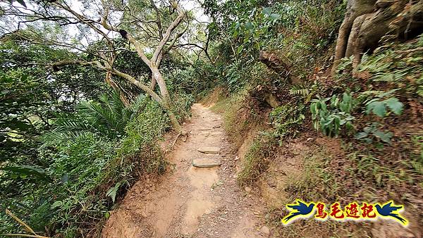 鳳崎落日步道(天德堂-蓮花寺-新豐車站) (31).jpg