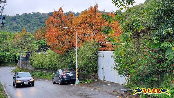 大崙頭尾山步道(碧溪橋-中社路) (11).jpg