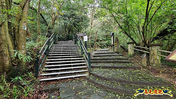 大崙頭尾山步道(碧溪橋-中社路) (13).jpg