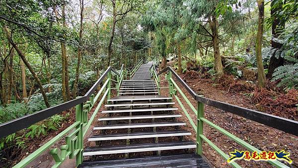 大崙頭尾山步道(碧溪橋-中社路) (16).jpg