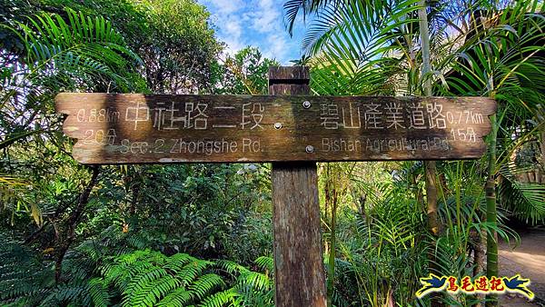 大崙頭尾山步道(碧溪橋-中社路) (37).jpg