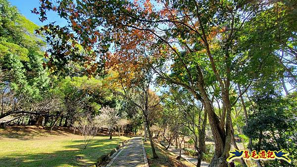 角板山雪梅紅楓 (12).jpg