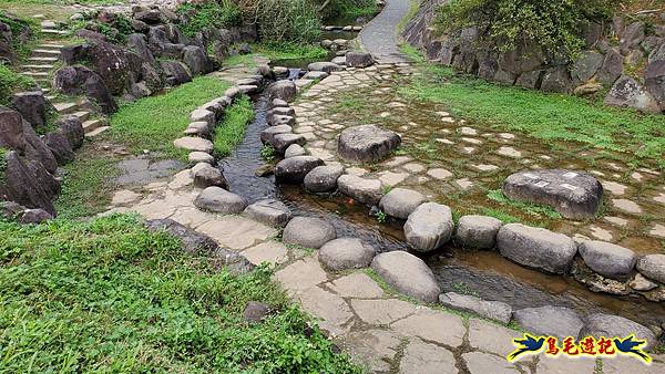 內湖大溝溪步道花海 (18).jpg