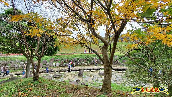 內湖大溝溪步道花海 (19).jpg