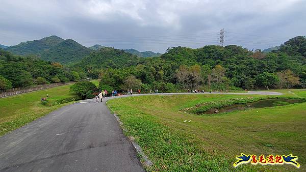 內湖大溝溪步道花海 (31).jpg