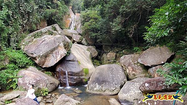 內湖大溝溪步道花海 (30).jpg