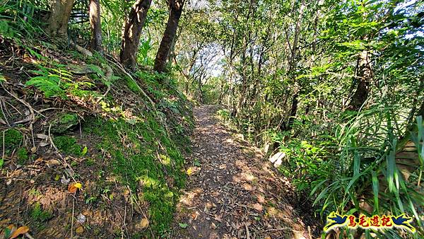 瑞三本礦-柴寮步道-天車間-獅子嘴奇岩-中坑古道出三貂嶺三層瀑布步道(猴硐-三貂嶺) (18).jpg