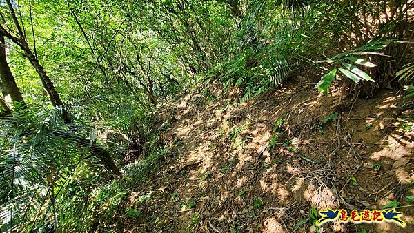 瑞三本礦-柴寮步道-天車間-獅子嘴奇岩-中坑古道出三貂嶺三層瀑布步道(猴硐-三貂嶺) (31).jpg