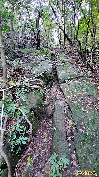 瑞三本礦-柴寮步道-天車間-獅子嘴奇岩-中坑古道出三貂嶺三層瀑布步道(猴硐-三貂嶺) (37).jpg