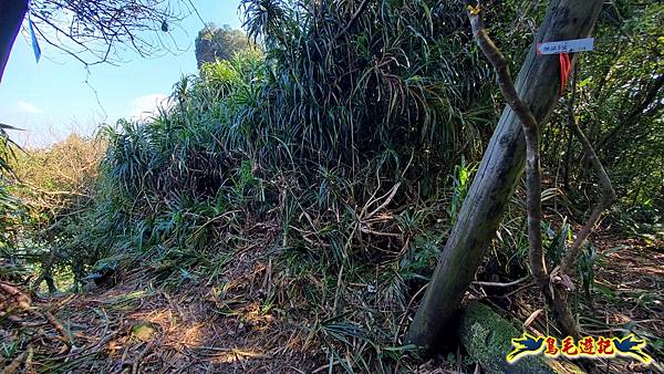 瑞三本礦-柴寮步道-天車間-獅子嘴奇岩-中坑古道出三貂嶺三層瀑布步道(猴硐-三貂嶺) (38).jpg