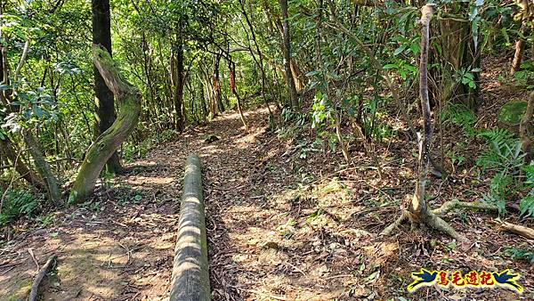 瑞三本礦-柴寮步道-天車間-獅子嘴奇岩-中坑古道出三貂嶺三層瀑布步道(猴硐-三貂嶺) (45).jpg