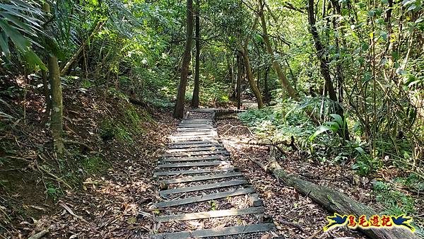 瑞三本礦-柴寮步道-天車間-獅子嘴奇岩-中坑古道出三貂嶺三層瀑布步道(猴硐-三貂嶺) (58).jpg