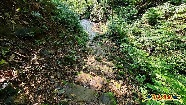 瑞三本礦-柴寮步道-天車間-獅子嘴奇岩-中坑古道出三貂嶺三層瀑布步道(猴硐-三貂嶺) (60).jpg