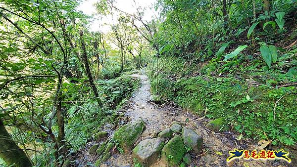 瑞三本礦-柴寮步道-天車間-獅子嘴奇岩-中坑古道出三貂嶺三層瀑布步道(猴硐-三貂嶺) (74).jpg